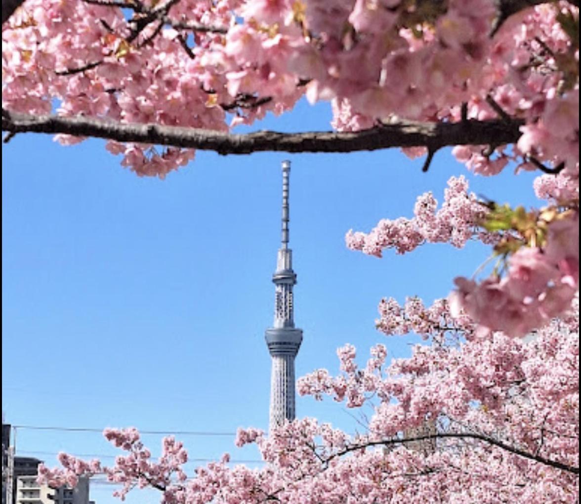 貸切一軒家 東京ヴィラ リバーサイド平井 Tóquio Exterior foto